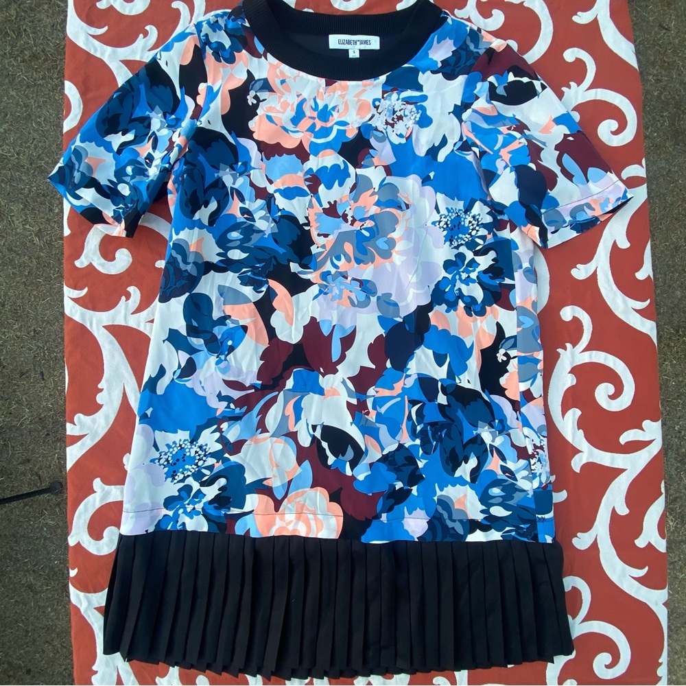 Elizabeth and James Dress 100% Silk Floral Print Pleated Skirt Women's S…